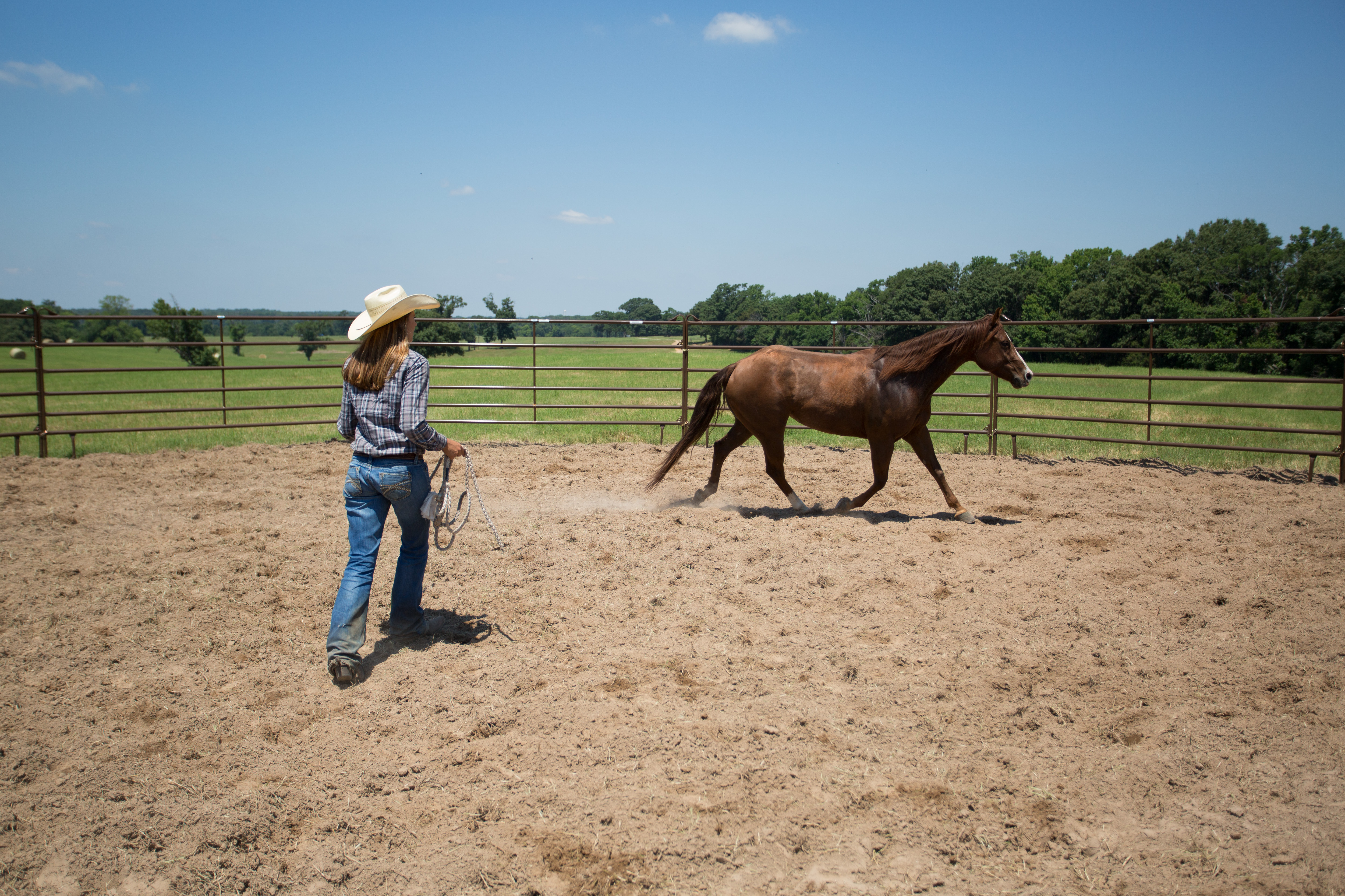 Utility Round Pen UP50 47.jpg